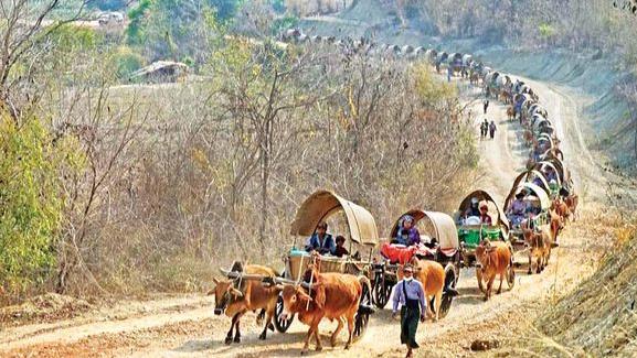 赶着牛车去拜佛——马奎省内一乡村民众保持的传统活动
