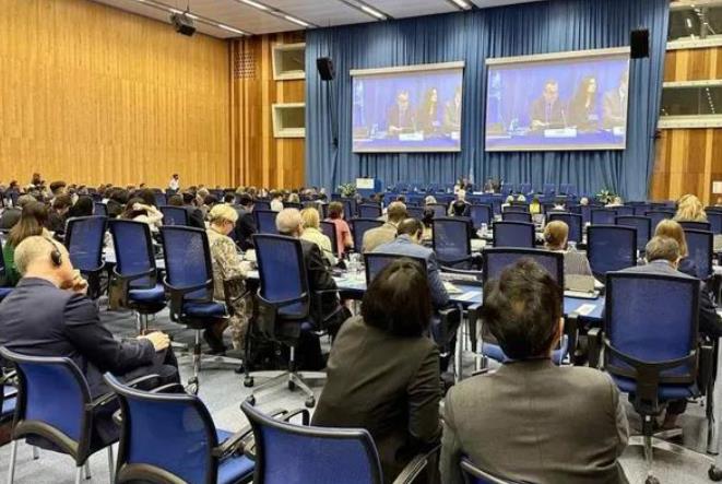 缅甸常驻联合国代表出席《不扩散核武器条约》总结工作组会议